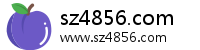 sz4856.com